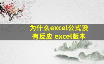 为什么excel公式没有反应 excel版本